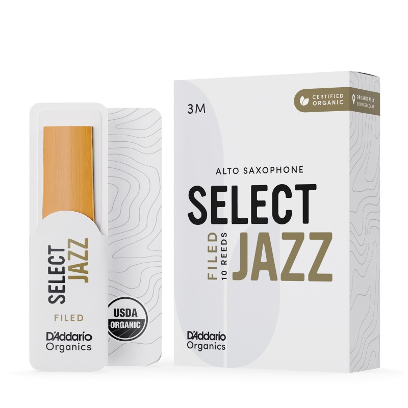 Anche Saxophone Alto Rico d'addario jazz force 3m medium filed x10