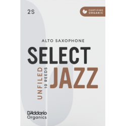 Anche Saxophone Alto Rico D'Addario Organics jazz force 2s soft unfiled x10