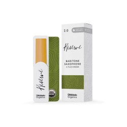 Anche Saxophone Baryton Rico d'addario reserve