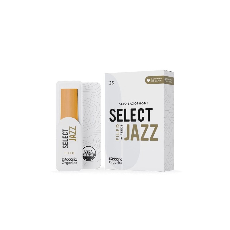 Anche Saxophone Alto Rico d'addario jazz force 2s soft filed x10