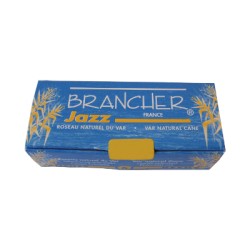 Anche Saxophone Ténor Brancher jazz force 2,5 x4
