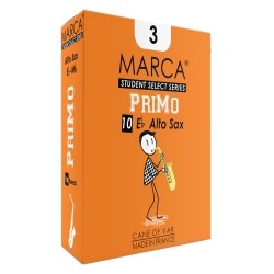 Anche Saxophone Alto Marca Primo force 2
