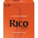 Anche Saxophone Alto Rico by D'Addario Orange force 2 x10