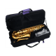 Saxophone SML Alto A460-II