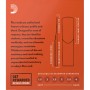 Anche Saxophone Soprano Rico orange force 1,5 x10