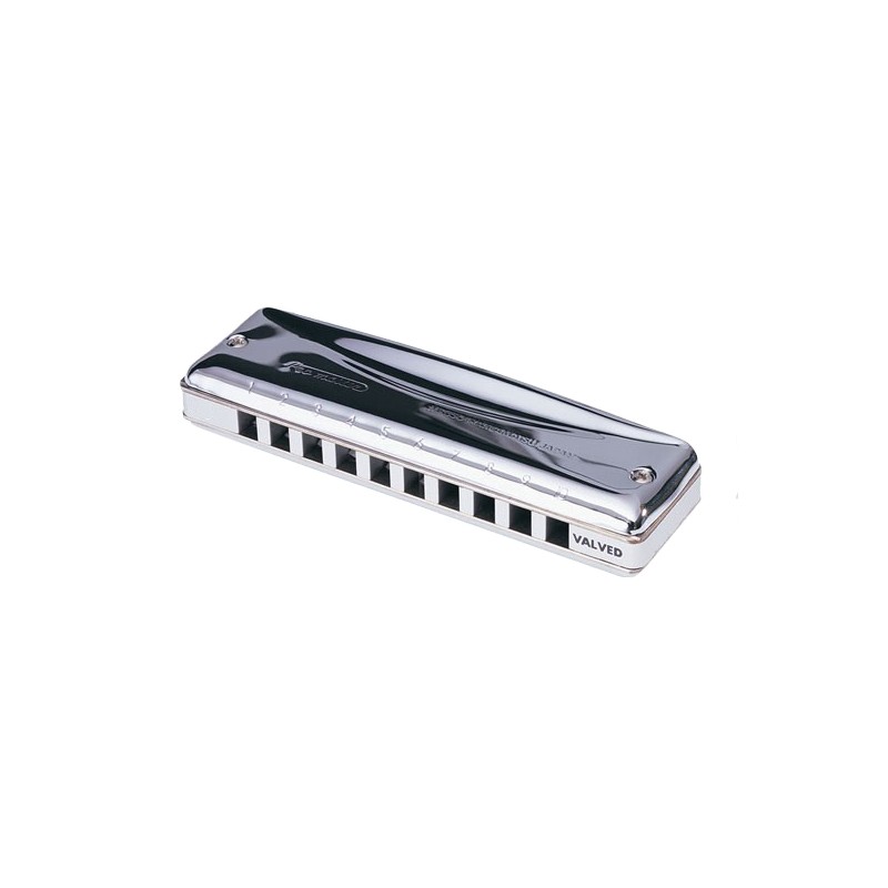 Harmonica Suzuki Diatonique Promaster Valvé - Tonalité G