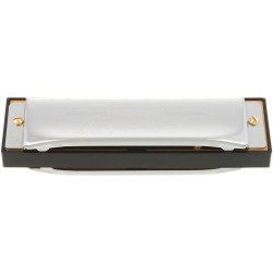 Harmonica Hohner Special 20 - Tonalité G