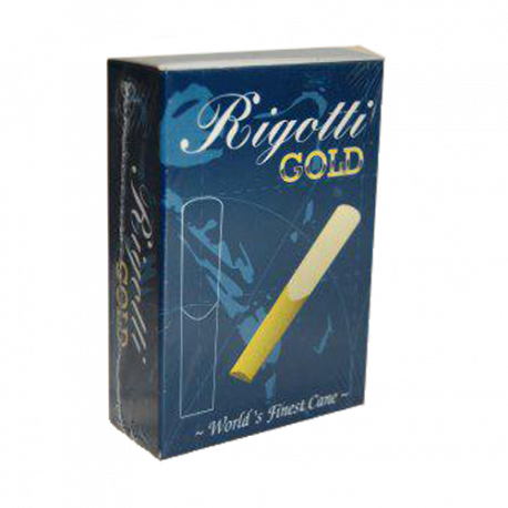 Ancia Sax Alto Rigotti gold classic forza 2 x10 
