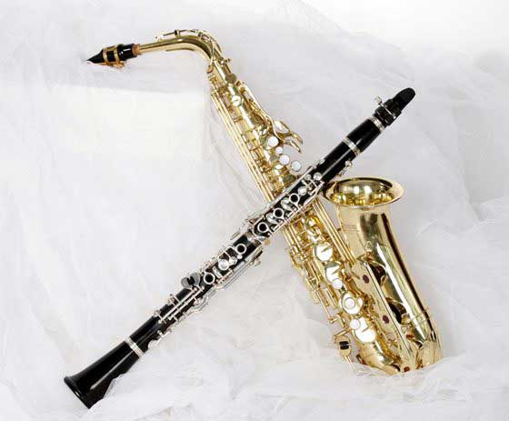 MYBOON étui à anches en Bois Saxophone boîte à anches pour Clarinette Saxophone Tenir Quatre anches Excellente Performance Rangement pour Saxophone 