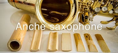 Anche Saxophone